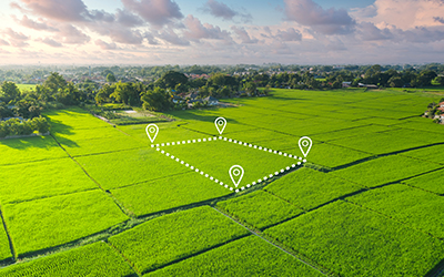 Встановення меж земельної ділянки